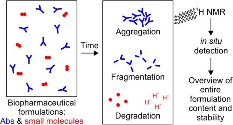 NMR fingerprinting applied in biopharmaceutical formulation and excipient compatibility analysis.
