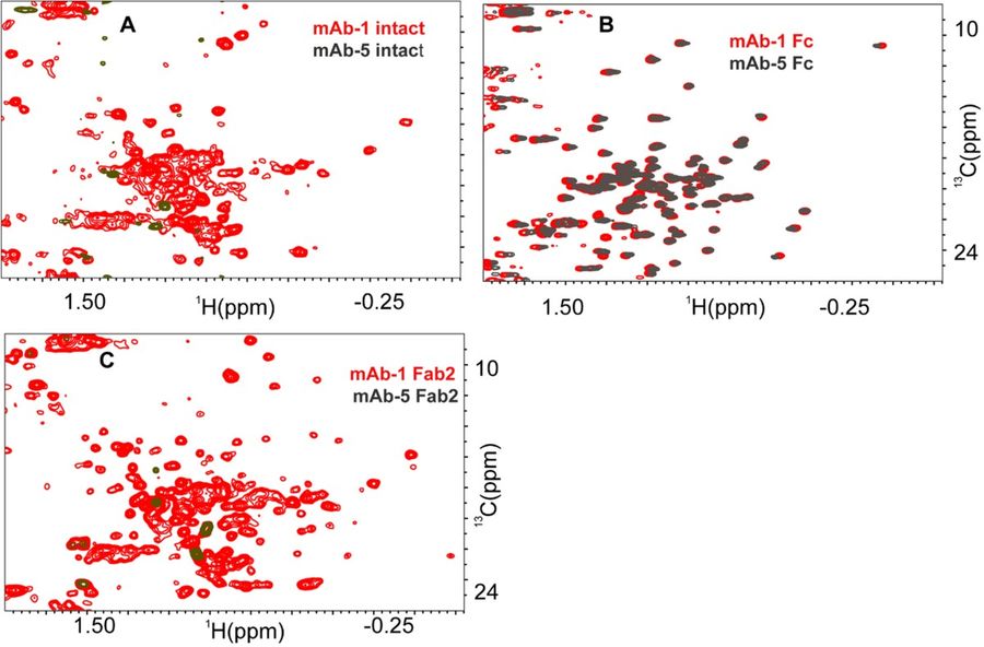 Utility of high resolution 2D NMR fingerprinting in assessing viscosity of therapeutic monoclonal antibodies.