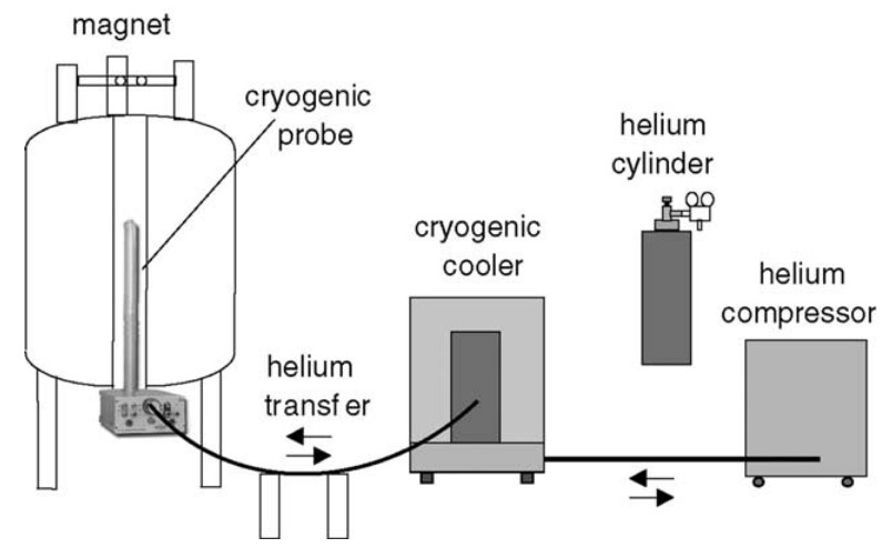 Cryogenic NMR probes improve sensitivity for low-concentration samples.