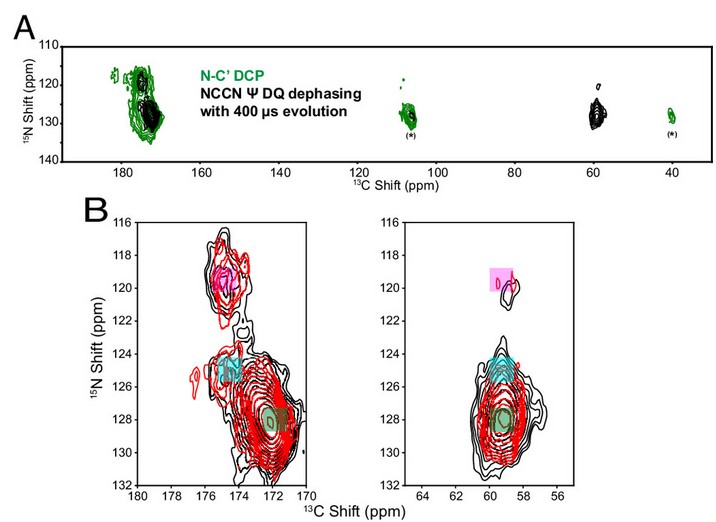 Contribution of protein conformational heterogeneity to NMR lineshapes at cryogenic temperatures.