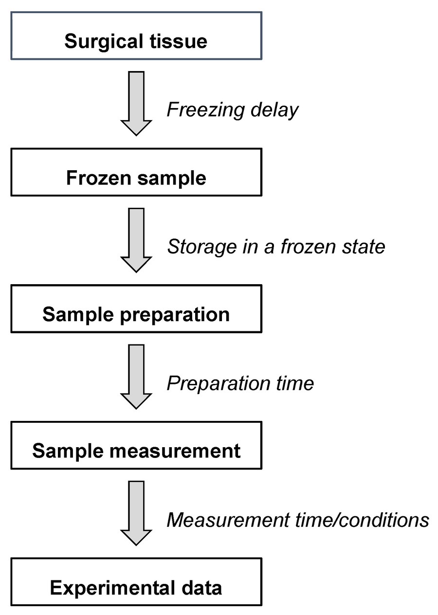 Workflow diagram of HR-MAS NMR spectroscopy for cancer tissue metabolomics analysis.