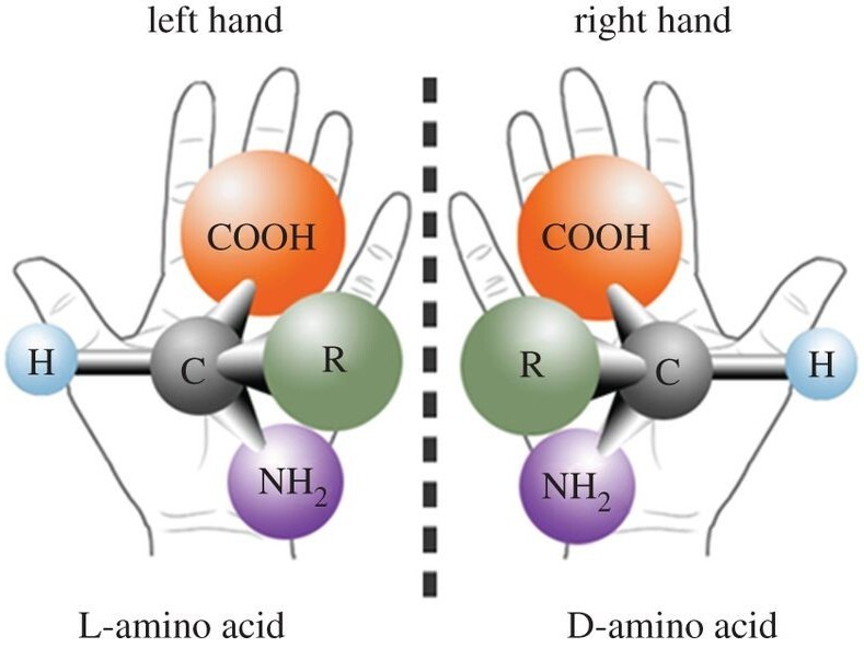 A Beginner's Guide to Circular Dichroism Spectroscopy
