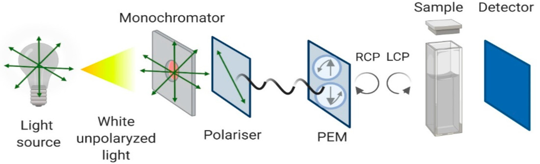 Diagram of CD spectrometer setup with light source, modulator, sample holder, and detector for analyzing chiral molecules.