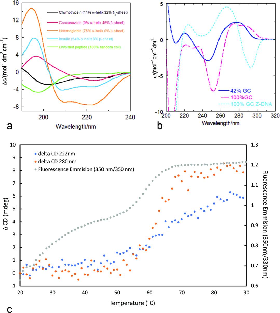 CD spectra of proteins and DNAs with different structures and GC content, plus α-lactalbumin melting curves via CD and fluorescence.