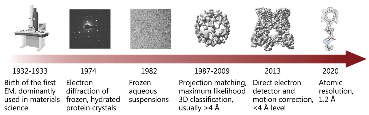 Cryo-EM vs TEM: A Comparative Analysis