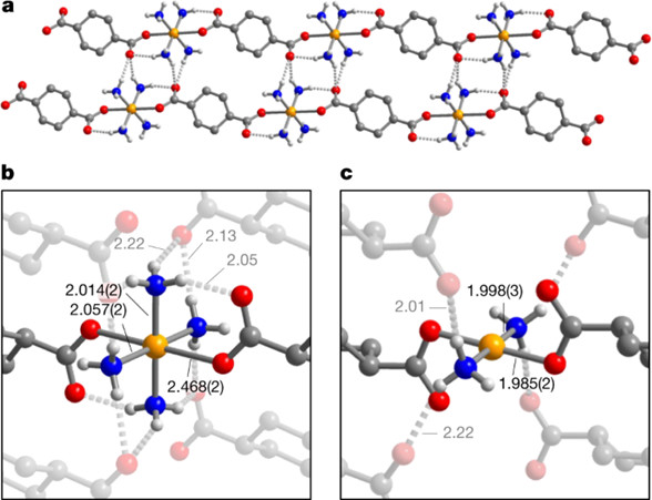 X-ray structure of Cu(NH₃)₄(cyhdc) and Cu environment in Cu(NH₃)₂(cyhdc).
