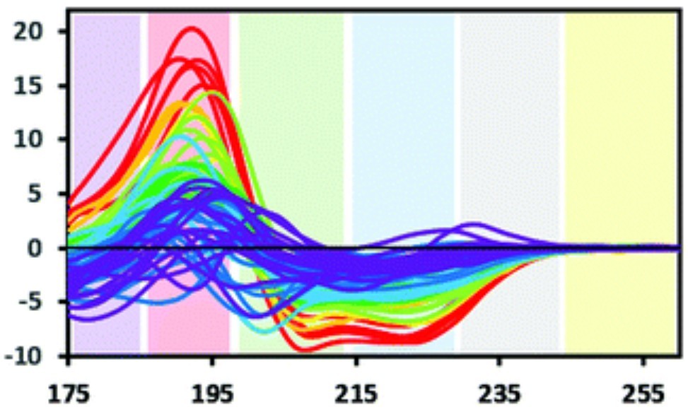 How to Analyze Protein Structure Using Circular Dichroism Spectroscopy