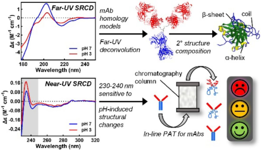 CD Spectroscopy in Biopharma: Principles 