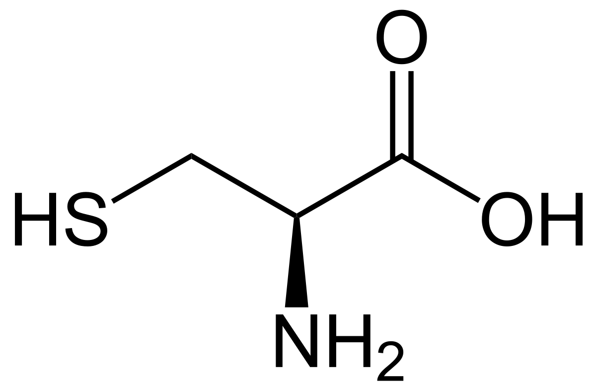 Cysteine