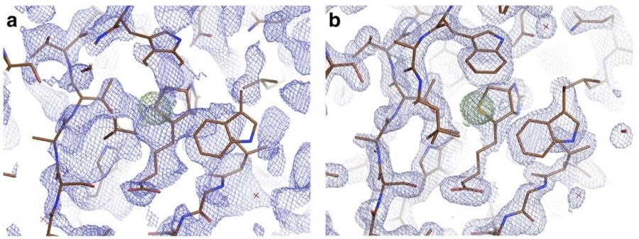 Refined and unrefined electron density maps showing Se atom at selenobiotin site.
