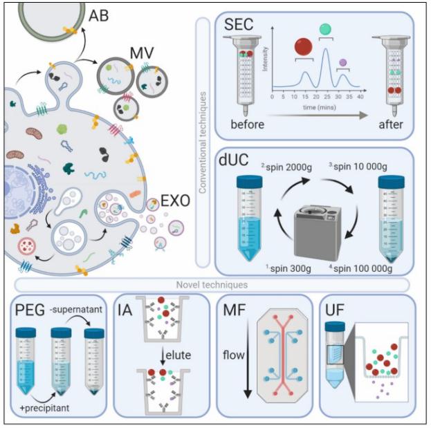 Active Exosome Isolation Service