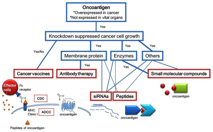 The general strategy for targeted therapies