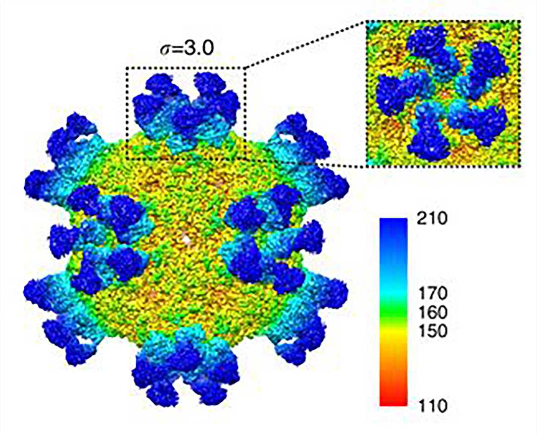 Cryo-EM map of CVA6 A-particle complexed with Fab-1D5.
