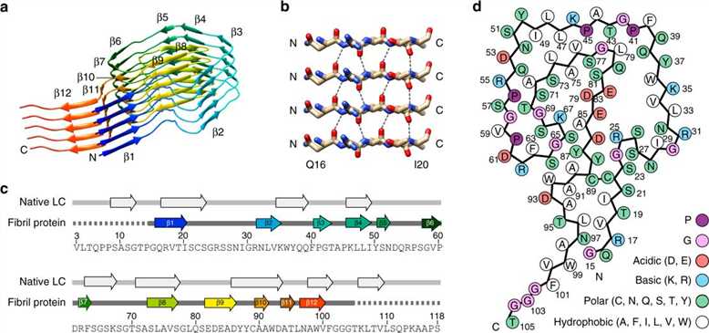 Cryo-EM for Filaments