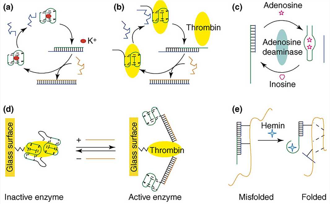 Aptamer-based DNA devices.