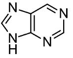 DNA Structure