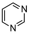 DNA Structure