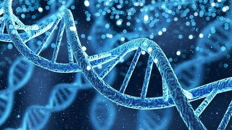 DNA Structure Characterization