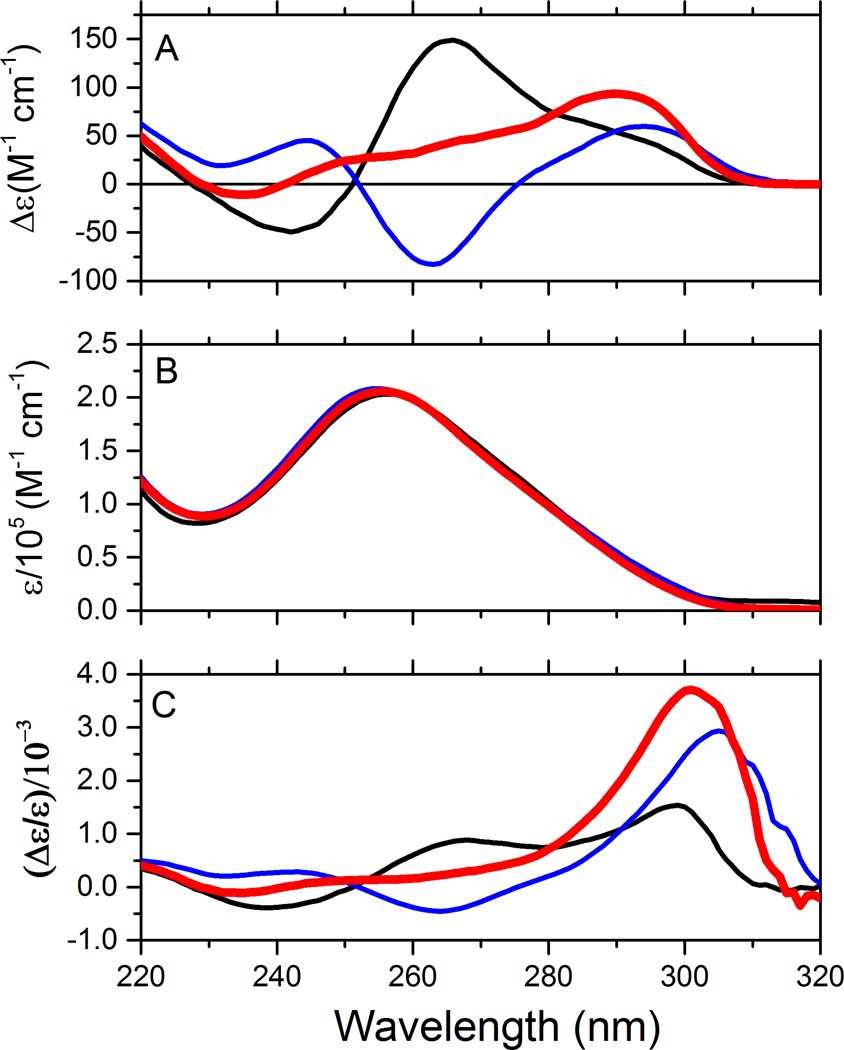 Spectral features of human telomer quadruplex conformations.