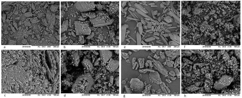 Micrographs of: (a,b) pure LOV) (c) pure BEN, (d) LOV-BEN eutectic mixture, (e) pure SAL, (f) LOV-SAL eutectic mixture, (g) pure CIN and (h) LOV-CIN eutectic mixture.