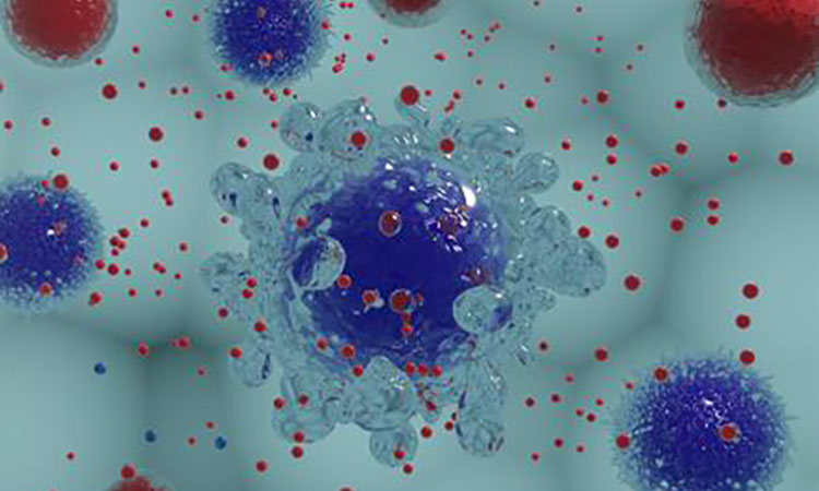 Exosome In Vitro Functional Assay