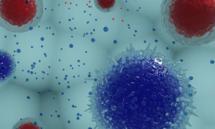 Exosome In Vivo Functional Assay