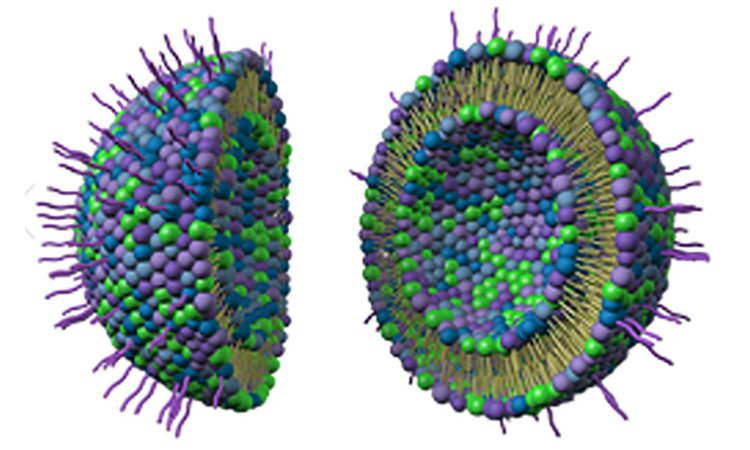 Liposome Applications