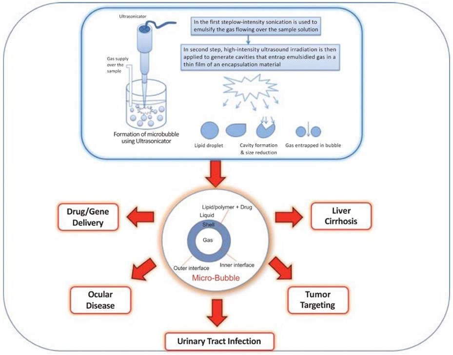 Preparation of micro-bubbles by batch sonication technique.