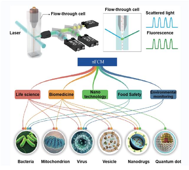 Figure 1. The application fields of nano-flow cytometry