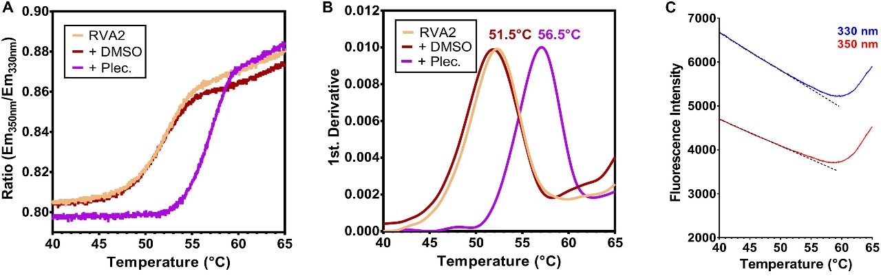 nanoDSF demonstrates the thermostabilization of RV-A2 by pleconaril.