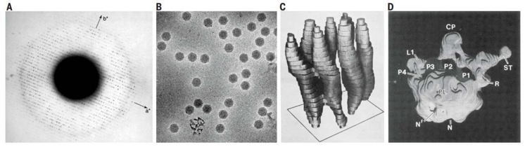 Particle Morphology Analysis