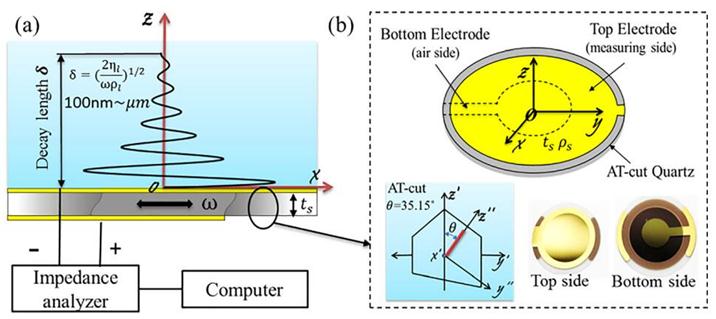 Figure 1. Schematic illustration of (a) the work principle of QCM and (b) the quartz crystal chip.