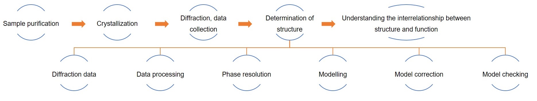 Steps in X-ray crystallography.