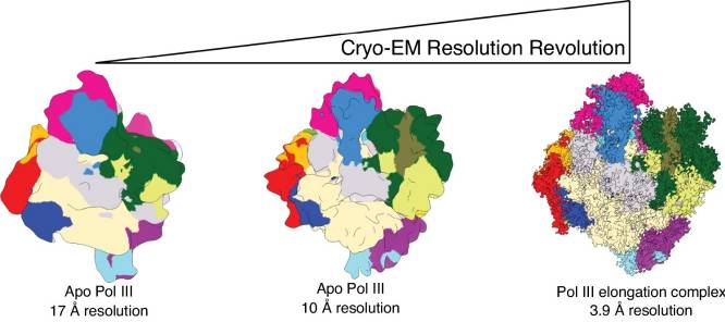 RNA Transcription Regulation Analysis