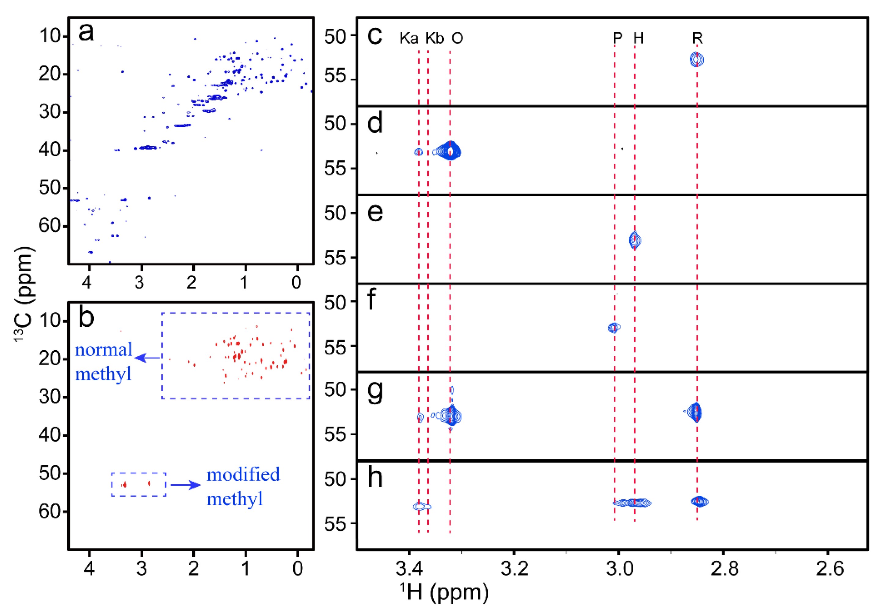 NMR spectra of cyt c with different conformations.