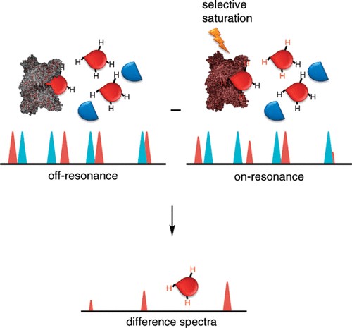 The schematic of saturation transfer difference (STD) NMR.