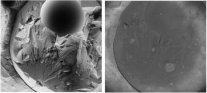 Cryo-SEM of high internal phase multiple O/W/O/W emulsion