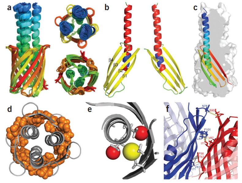 Solid-state NMR Services