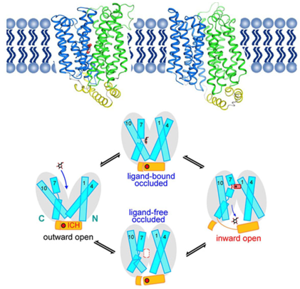 Structural Biology Research