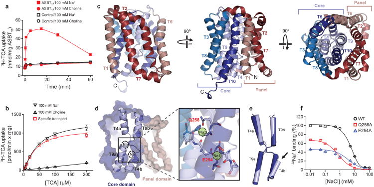 Crystal structure of ASBTYf.