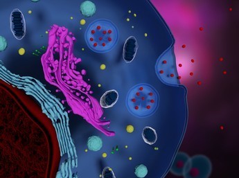 Tissue Exosome Isolation Service