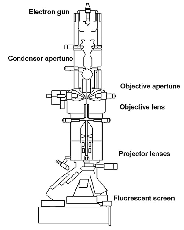 scanning electron microscope block diagram