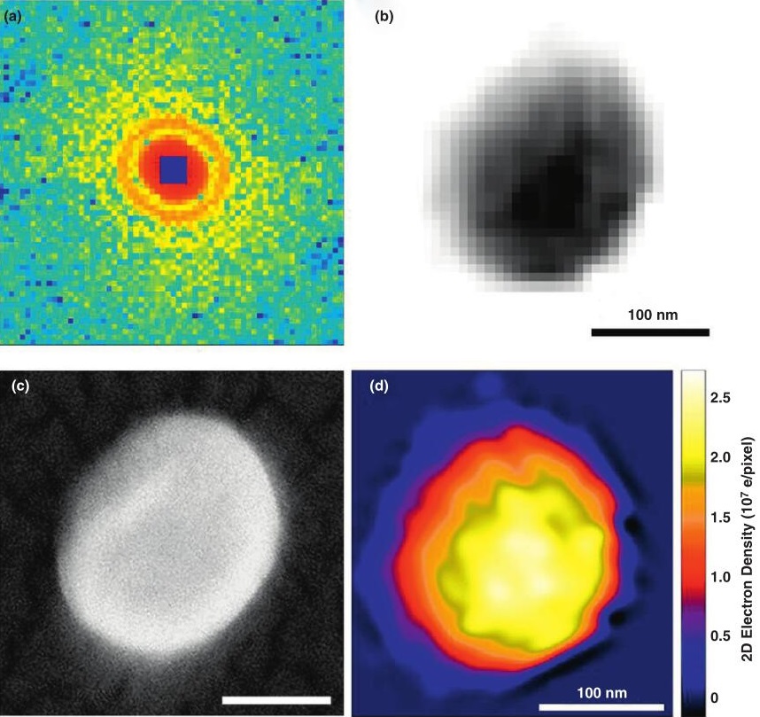 X-Ray Free Electron Laser (XFEL) Service