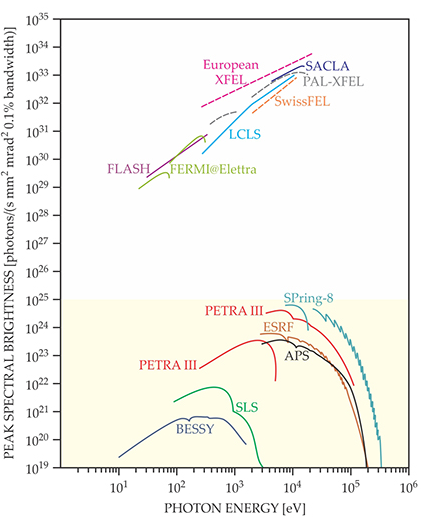 X-Ray Free Electron Laser (XFEL) Service