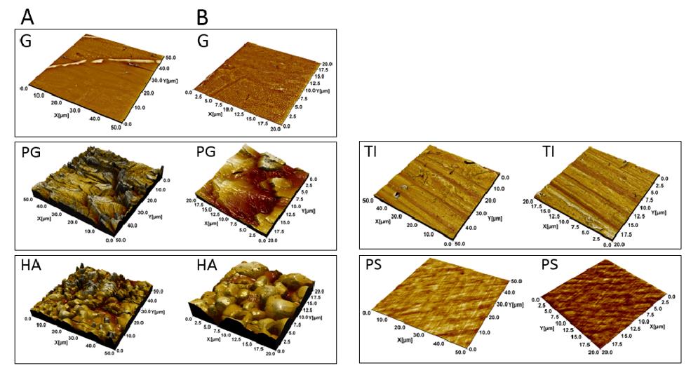 Application of Atomic Force Microscopy (AFM) in Materials Science