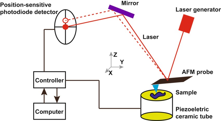 Application of Atomic Force Microscopy (AFM) in Physical Science