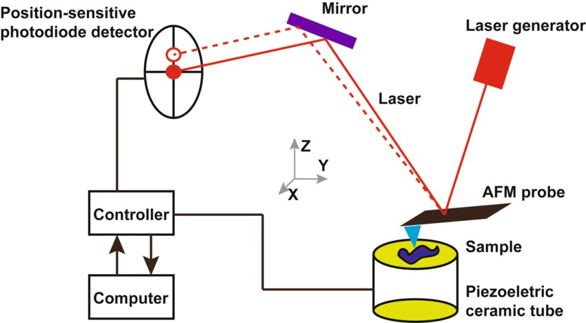 Schematic diagram of AFM working principles.