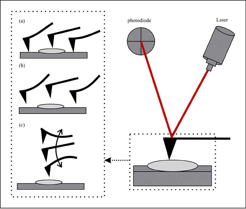 Working modes of AFM