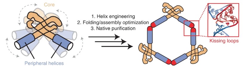 High-resolution RNA Structures