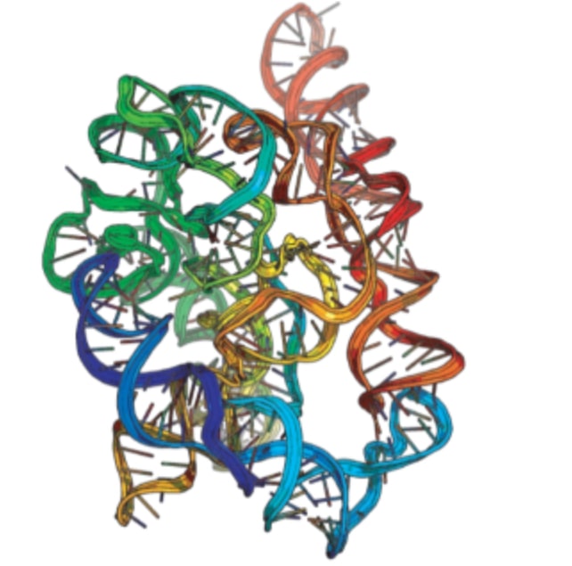 High-resolution RNA Structures